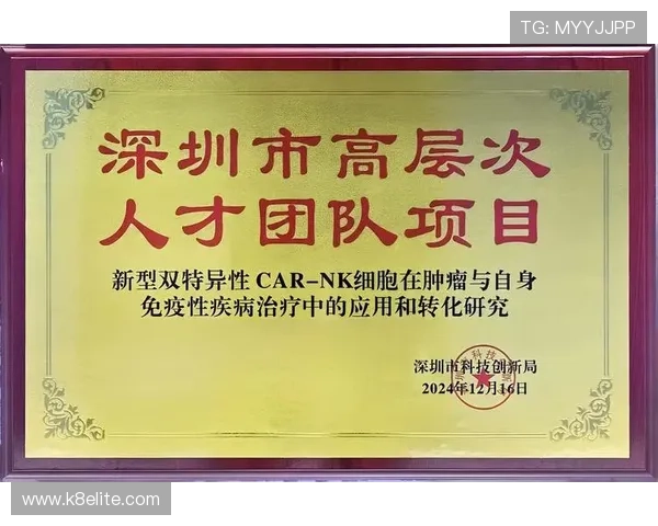 分析K8凯发电竞的支付方式与提现流程，保障玩家资金安全与便捷操作